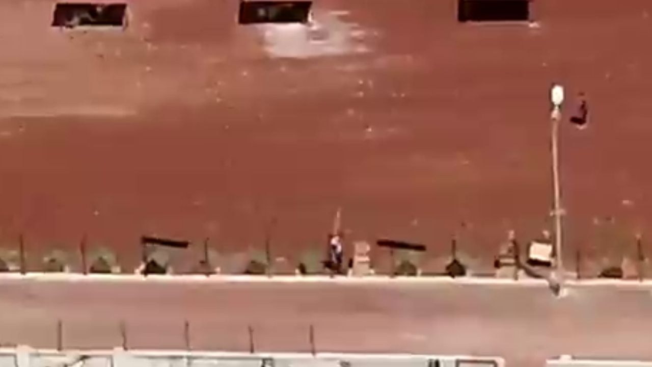 Bu nasıl vicdan! Kars Belediyesi'nde skandal! Hayvanları yerde sürüklediler...