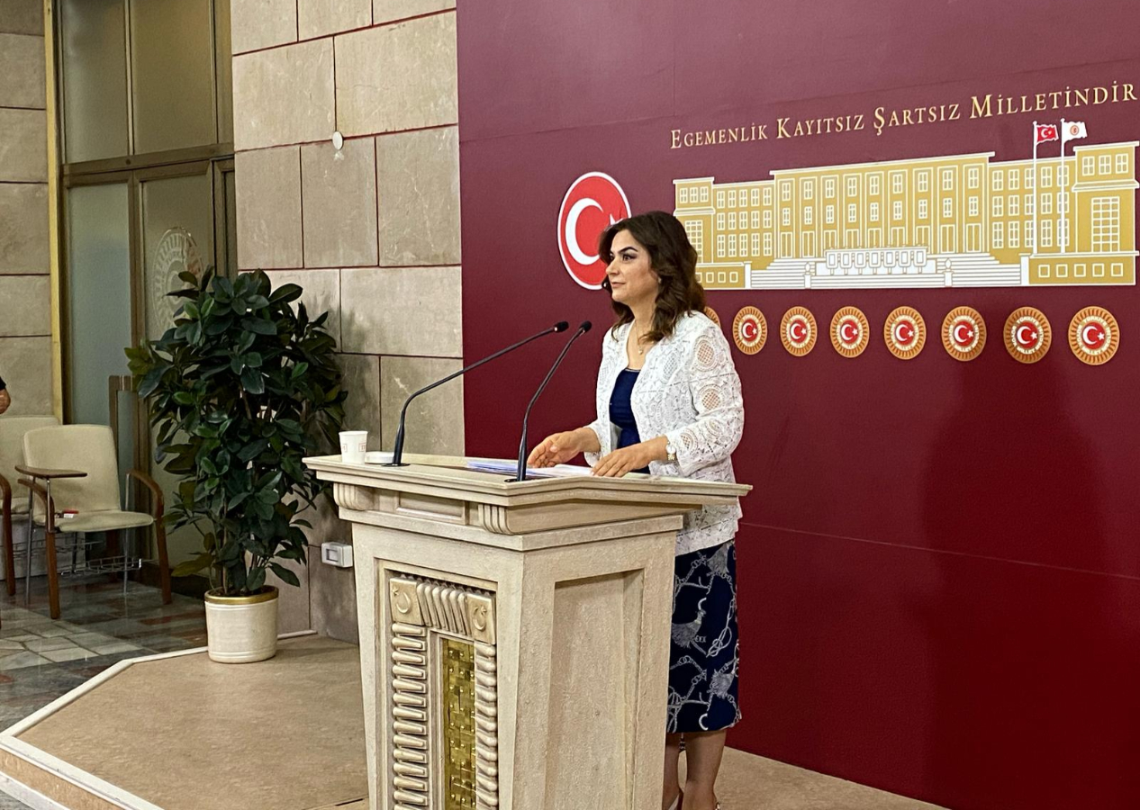 DEM Parti'nin komisyondan talebi: Toplumsal yaşama katılım kanallarının açılması...