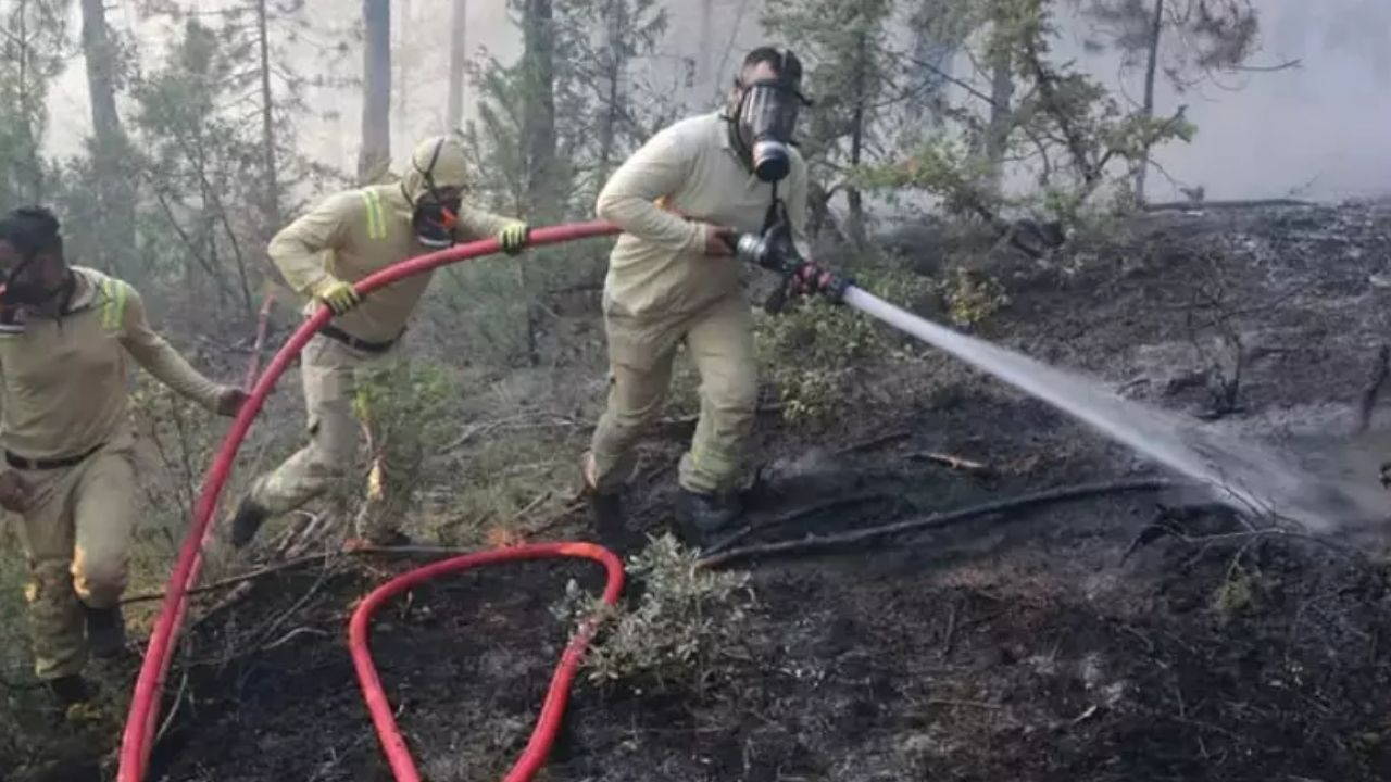 Bolu’da orman yangını şüphelisinden ilk tutuklama! Biçerdöver felaketi başlattı