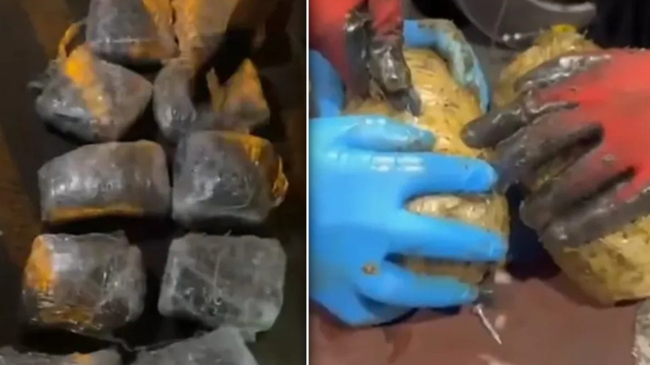 73 ilde zehir tacirlerine darbe: 2 haftada 1.695 şüpheli yakalandı, 479 kilo uyuşturucu ele geçirildi!