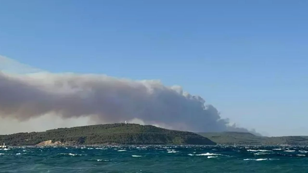Gelibolu’da orman yangını! Köy tahliye edildi, havadan karadan büyük müdahale!