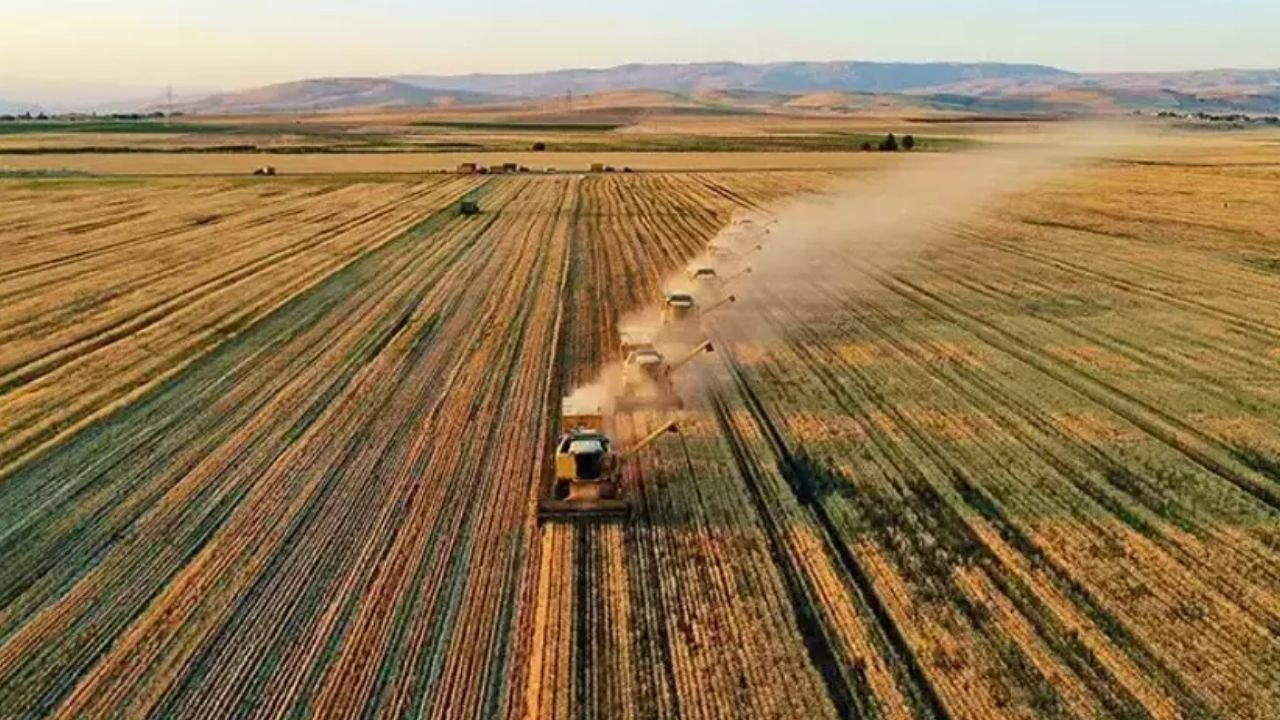 Çiftçilere müjde! 86,5 milyon liralık tarımsal destek hesaplara yatırıldı