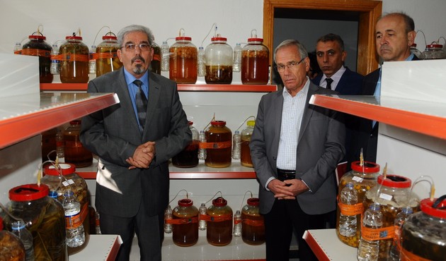 Doğadaki bin 65 çeşit bitki ile turşu yaptı, Guinness Rekorlar Kitabı'na girdi!