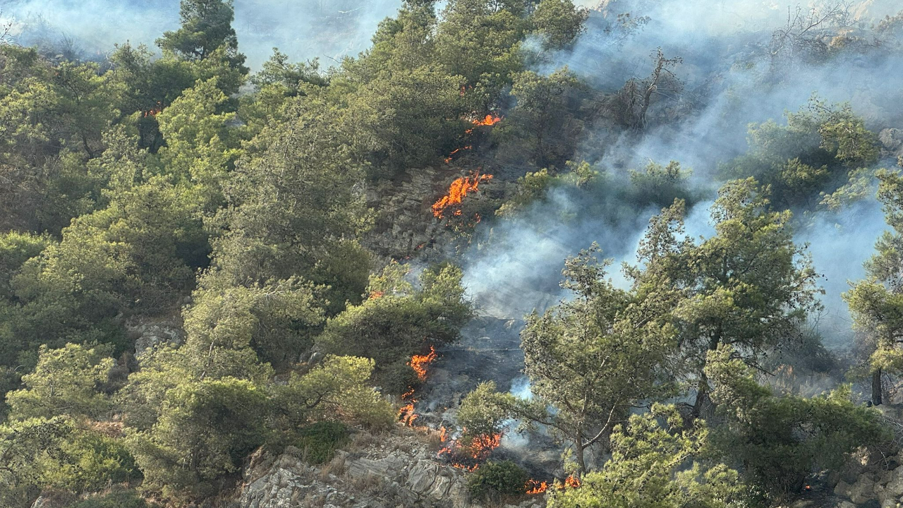 Söke alevlere teslim oldu! Korkunç yangın yerleşim yerine yaklaşıyor...