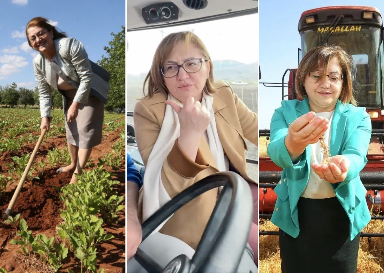 Her gün tarlada, traktörde… Fatma Şahin, çiftçilerle kurduğu samimi diyaloglarla “sıra dışı başkan” profili çiziyor