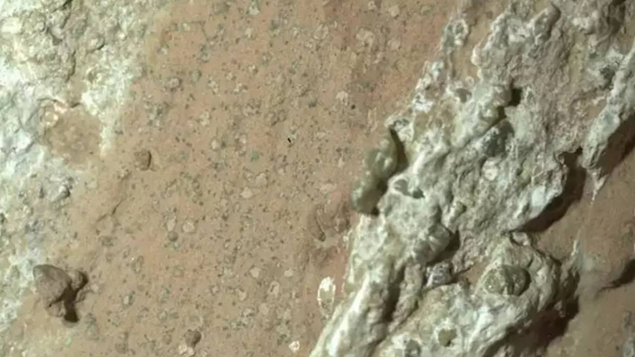 Kaya örneğinde keşfedildi! Mars’ta yaşam var mı? NASA açıkladı: Leopar sırrı çözecek!