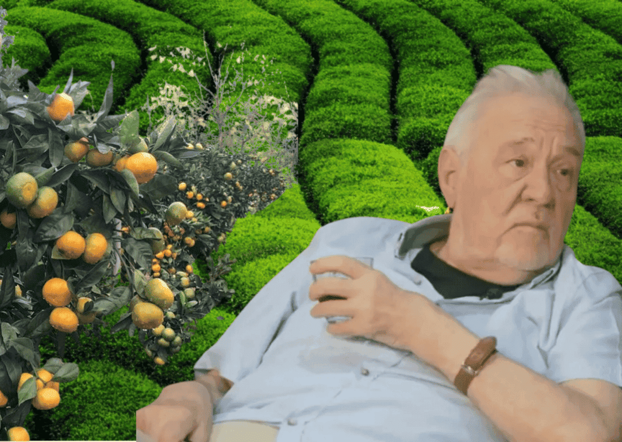İlber Ortaylı'nın çay yorumu ortalığı karıştırdı: Mandalina eksinler! Rizelilerden çığ gibi tepki!