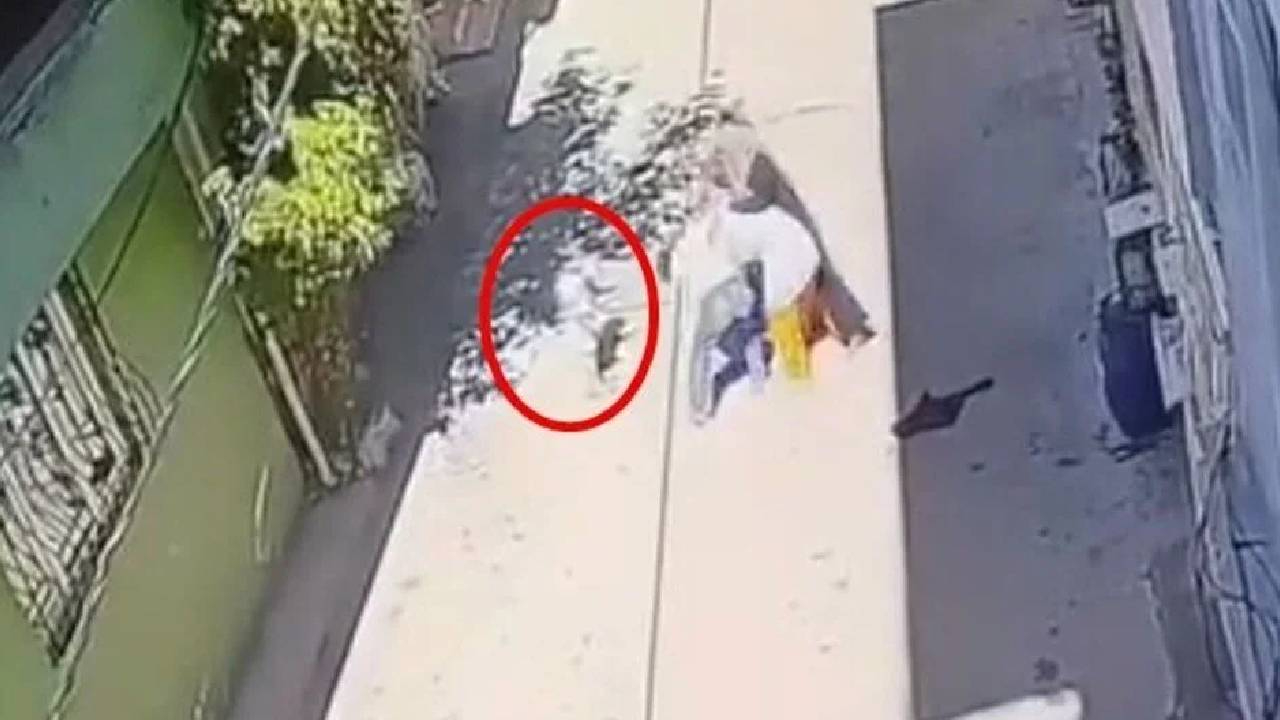 Bursa’da anneye şiddet! Kucağında çocuğu varken dövüldü