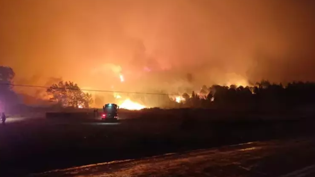 Bursa Karacabey’de orman yangını alarmı! Ekipler alevlere müdahale ediyor