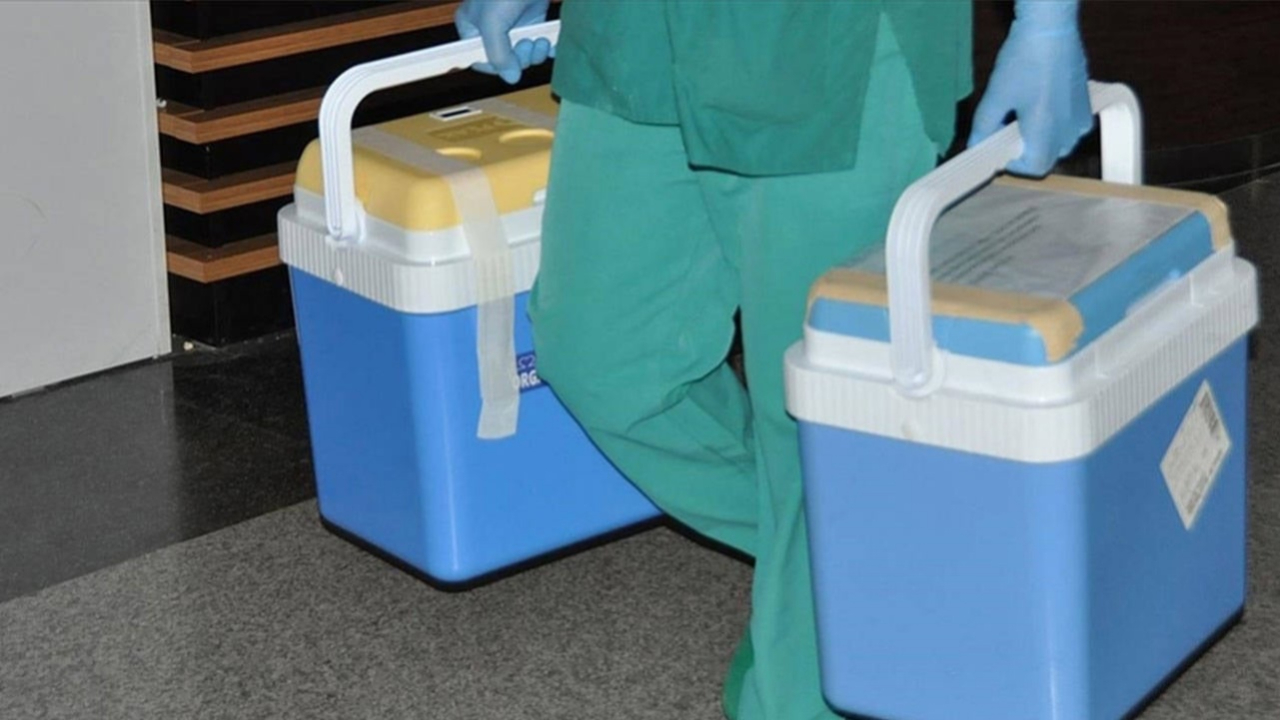 Organ bağışı dijital ortamda! e-Devlet ve e-Nabız üzerinden kolay bağış, yakınlara öncelik