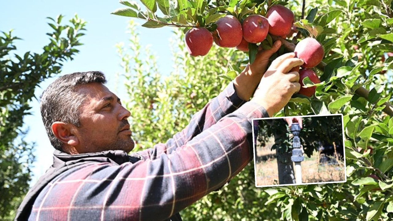 Spring su uygulamasıyla zirai dondan kurtuldu! Tonlarca rekolte alan çiftçi sırrını açıkladı
