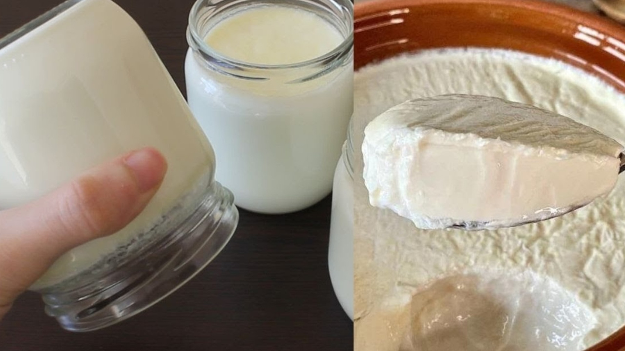 Dört adımda taş gibi yoğurt mayalama yöntemi; Silifke ustaları böyle taş gibi yapıyor