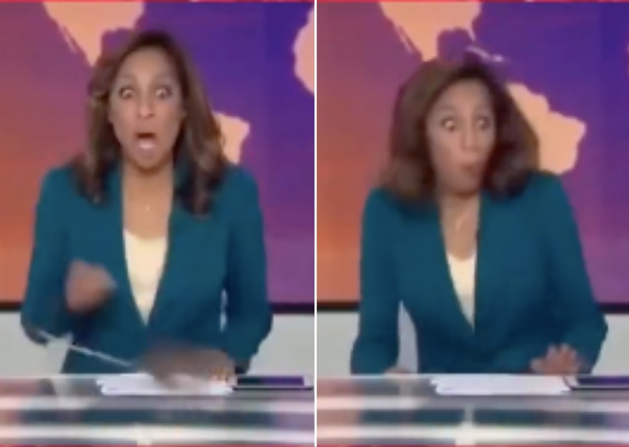 Al Jazeera'nin Londra stüdyosunda canlı yayında fare paniği! Spiker korkudan koltuktan fırladı...