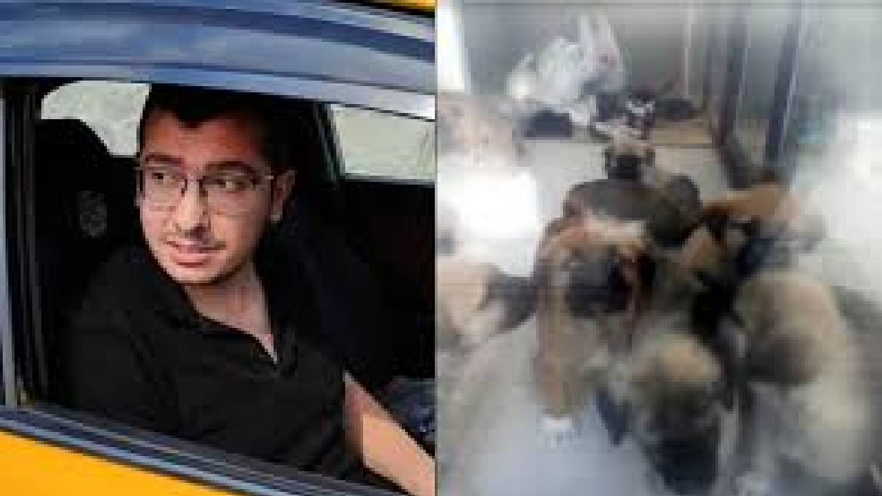 Ankara’da dehşet davası: Doktora köpeklere istismardan 9 yıl 9 ay hapis!