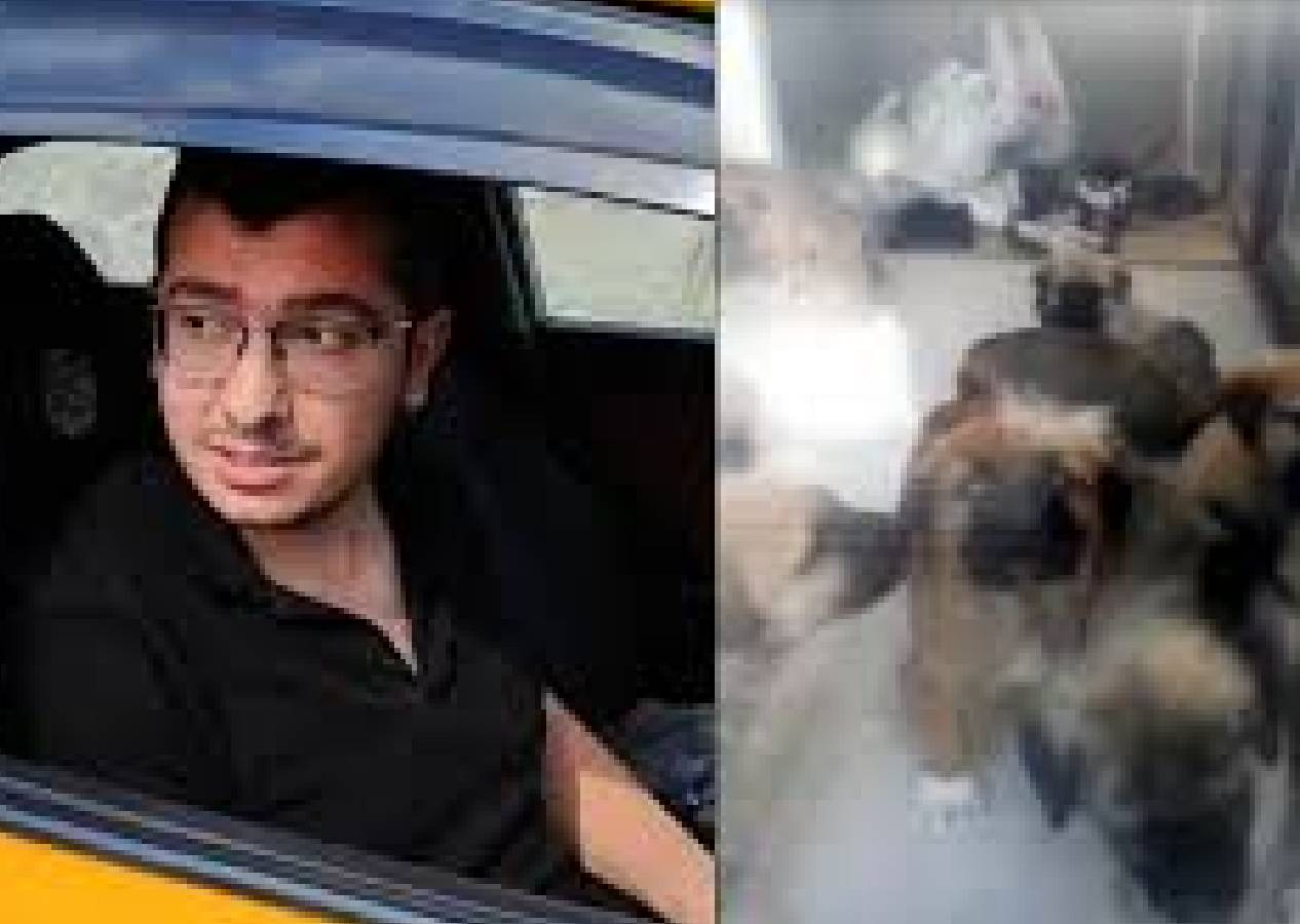 Ankara’da dehşet davası: Doktora köpeklere istismardan 9 yıl 9 ay hapis!