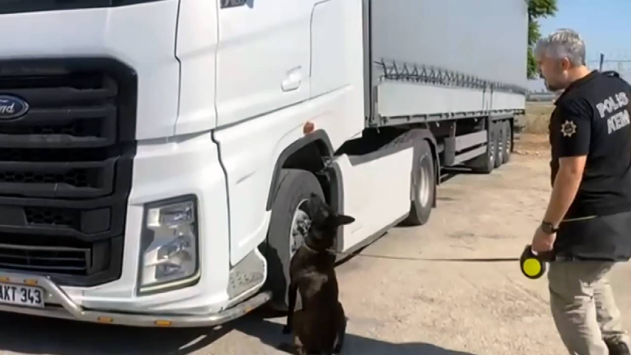 Adana’da 55 kilo skunk yakalandı: “Arkadaşım rica etti” dedi