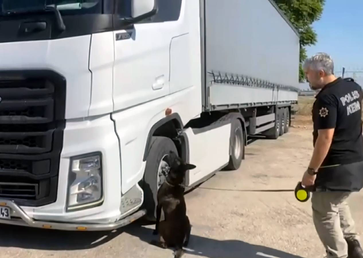 Adana’da 55 kilo skunk yakalandı: “Arkadaşım rica etti” dedi
