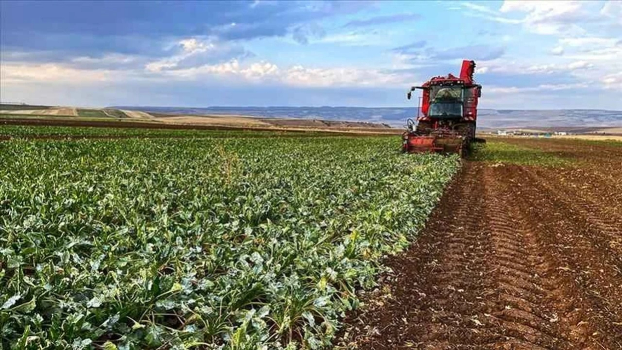 Çiftçilere büyük destek! Zirai dondan zarar görenlere 13,2 milyar TL ödeme