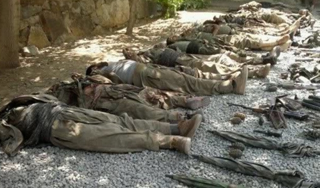 PKK'nın Berçem Cilo kod adlı yöneticisi Nursel Oktay öldürüldü!
