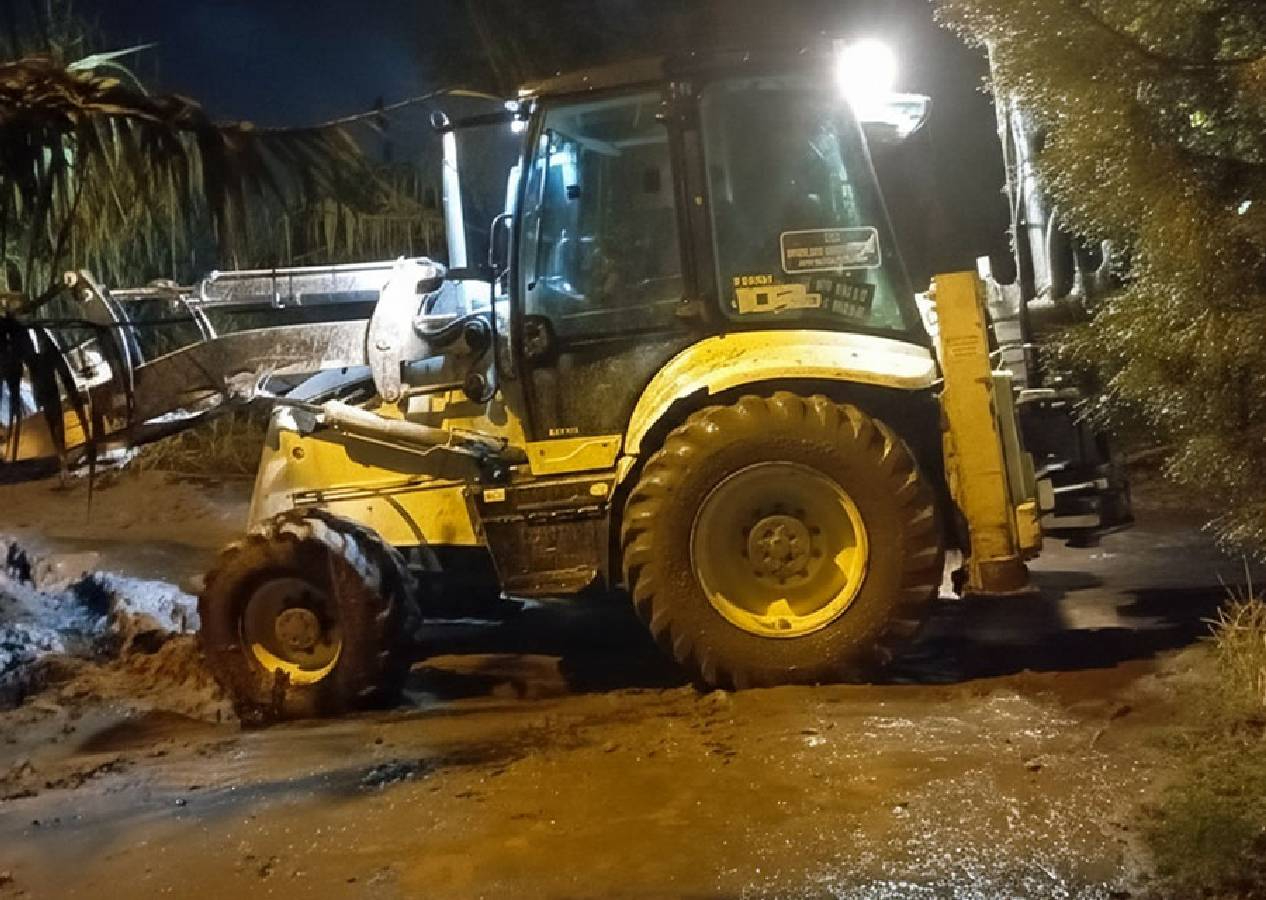 Aydın’da sağanak felaketi: Hayvanlar sele kapıldı, kara yolu çamurla kaplandı