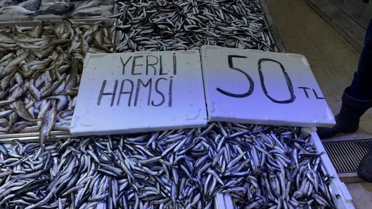 Hamsi bolluğu! Kilosu 50 TL'ye kadar düştü, tezgah önünde kuyruklar oluşuyor