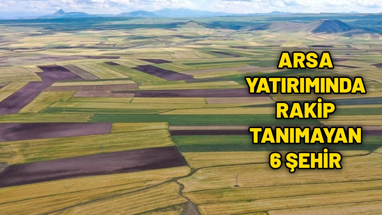 Arsa ve tarla yatırımı için en cazip 6 şehir; Yıldızı parlıyor düşük bütçelere yer bulunuyor
