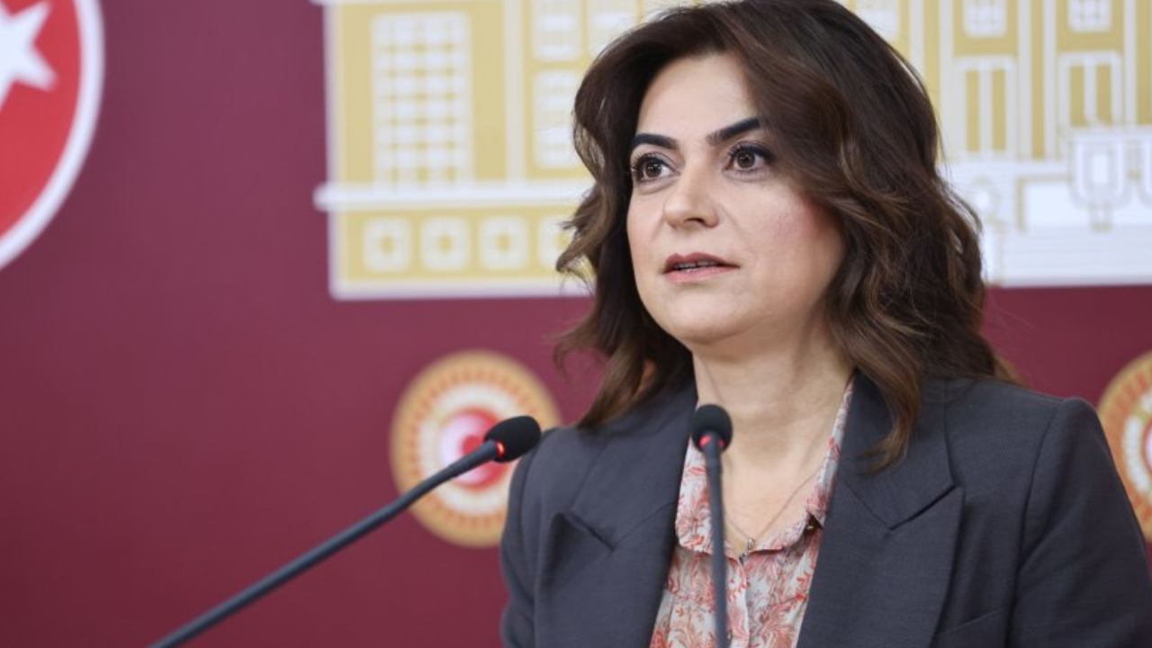 DEM Partili Koçyiğit’ten “ada heyeti” açıklaması: TBMM’de kritik oylama kabul edildi!