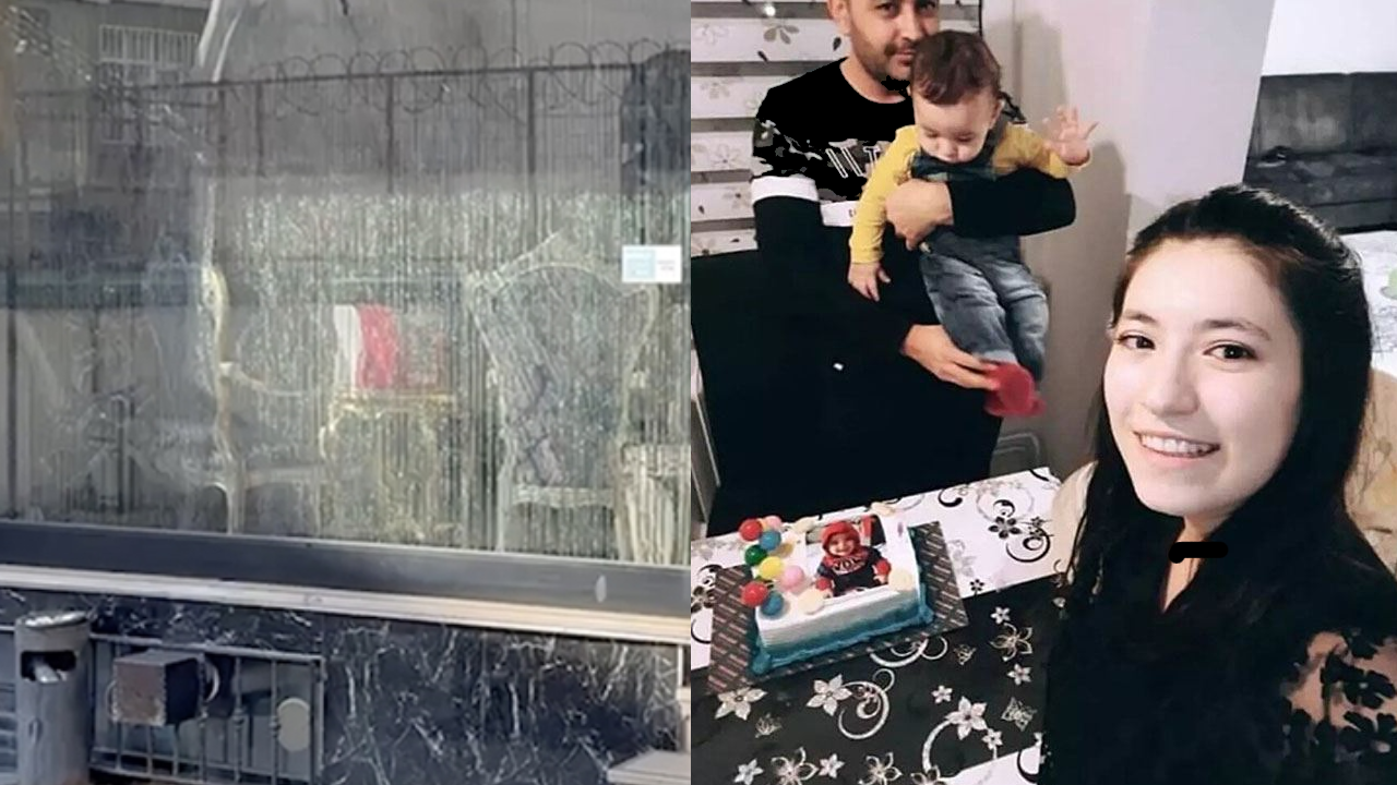 Meğer şikayet edilmiş! Böcek ailesini hayattan koparan şirketin şok yorumu ortaya çıktı