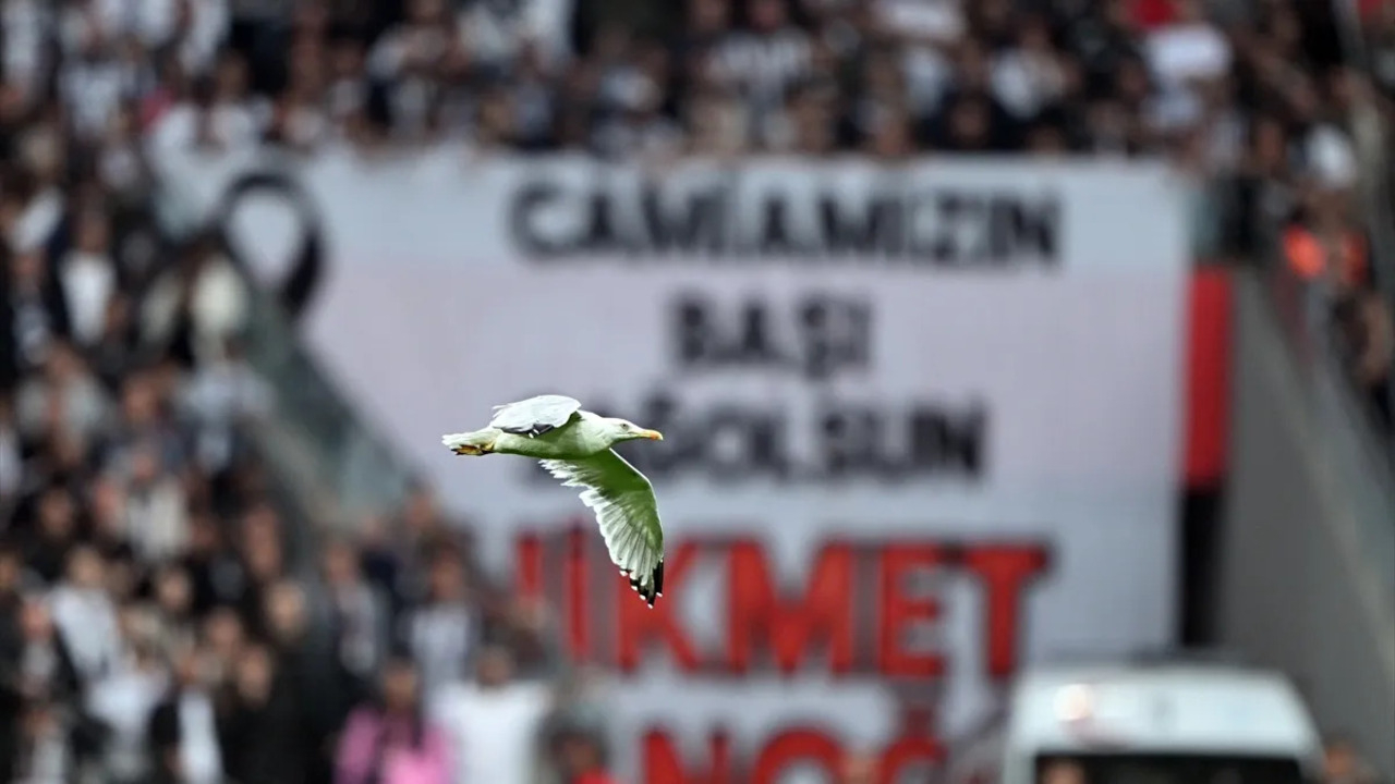 Beşiktaş - Samsunspor maçına damga vuran davetsiz misafir! Süleyman Seba'nın sözleri hatırlandı