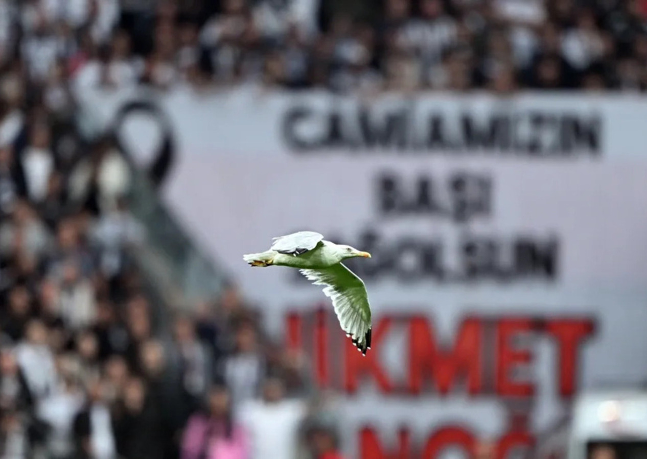 Beşiktaş - Samsunspor maçına damga vuran davetsiz misafir! Süleyman Seba'nın sözleri hatırlandı