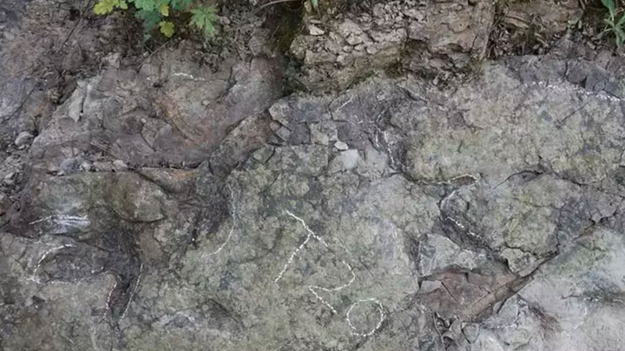 Çin'de bulundu! Yaklaşık 200 milyon yıl öncesine ait