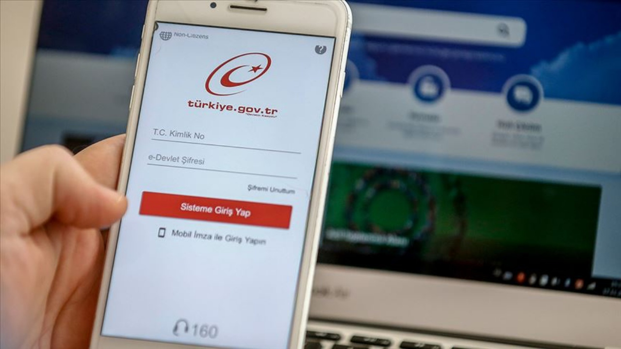 e-Devlet'te yeni dönem! Arazi haritaları renklendirildi, yatırımcılara rehber olacak