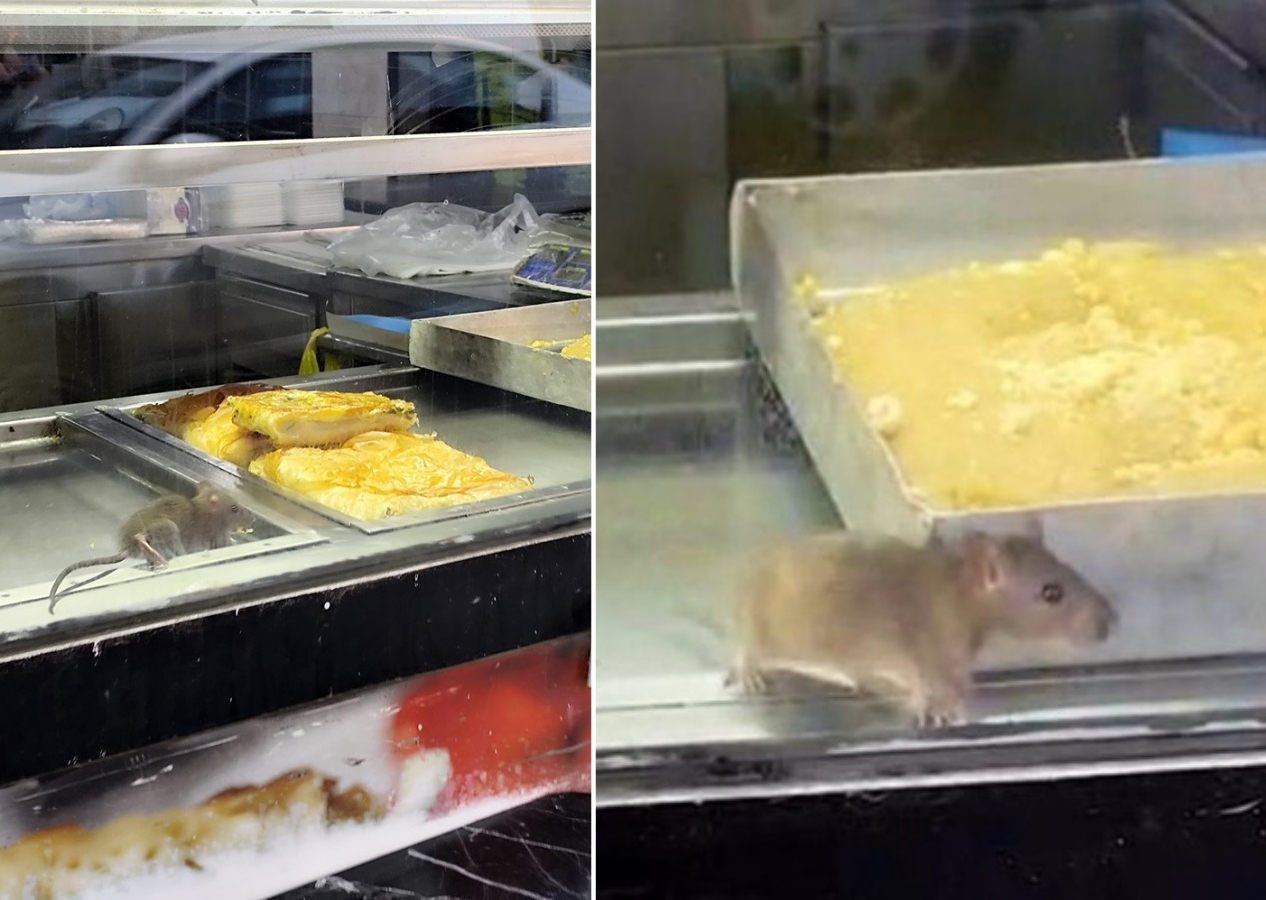 İzmir Buca'da "yok artık" dedirten anlar! Börek tezgahında fareler cirit atıyor...