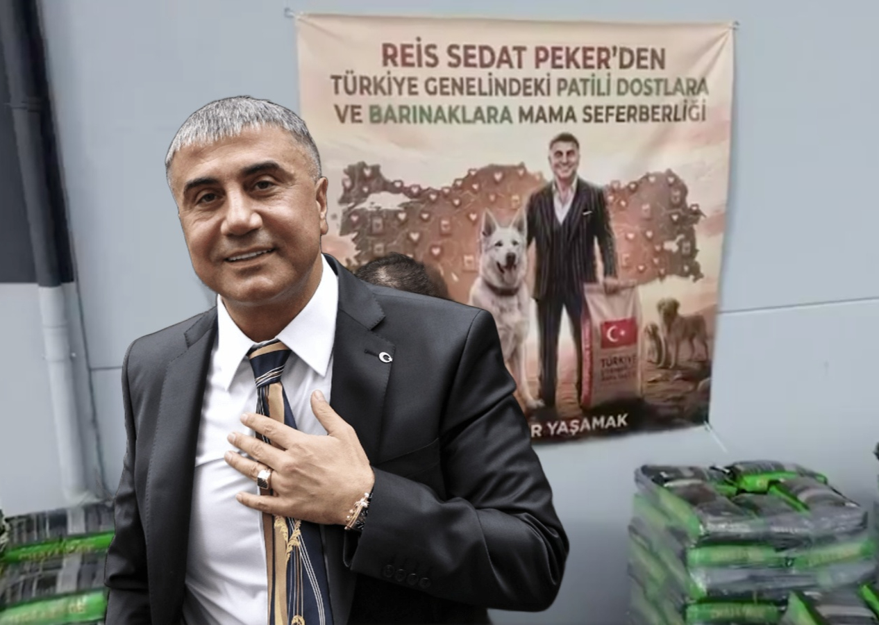 Sedat Peker’den 4 yıl sonra ilk ses kaydı: Barınaklara 100 ton mama gönderdi!
