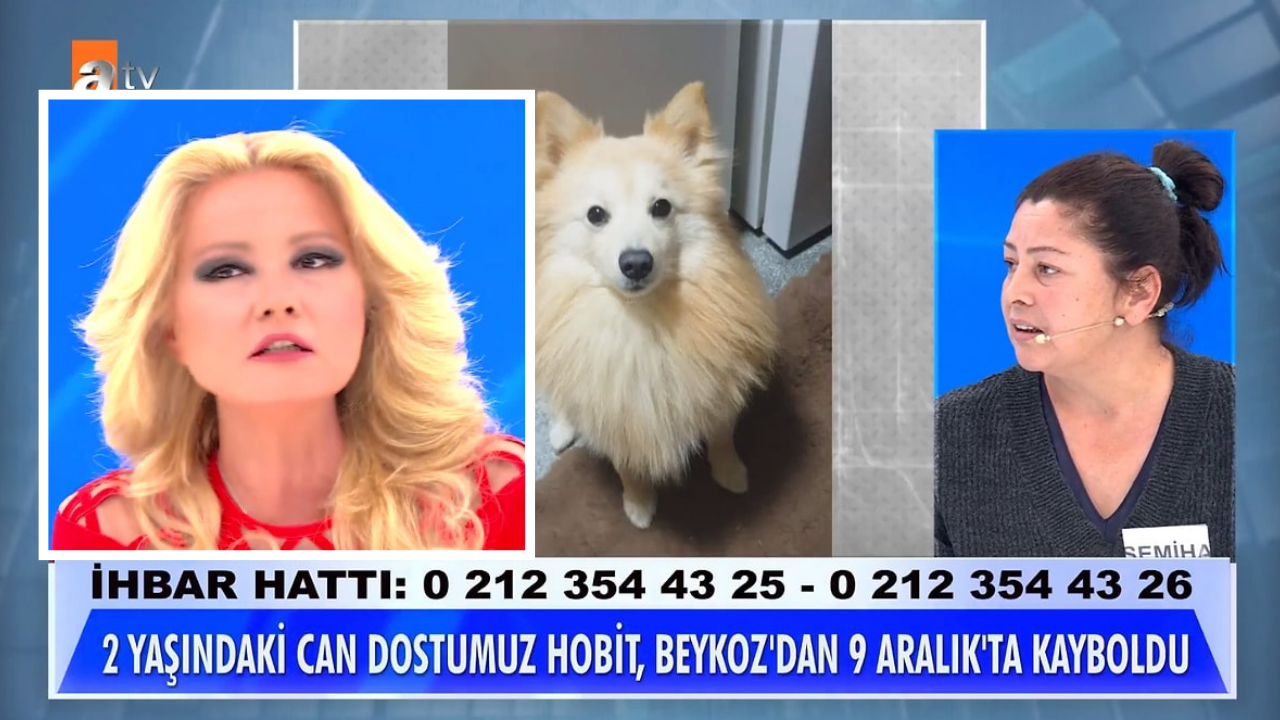 Köpeği kaybolunca soluğu Müge Anlı ile Tatlı Sert'te aldı! ''Kocam kaybolsa bu kadar üzülmem'' itirafıyla stüdyodakileri kırdı geçirdi
