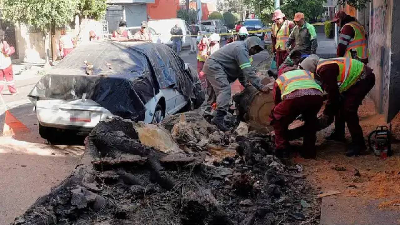 Meksika’da 6.5 büyüklüğünde deprem: Yüzlerce ev hasar gördü
