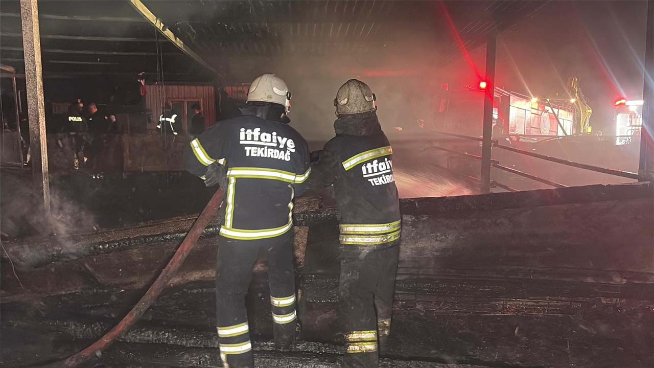 Tekirdağ'da çiftlik yangını! 60 küçükbaş telef oldu