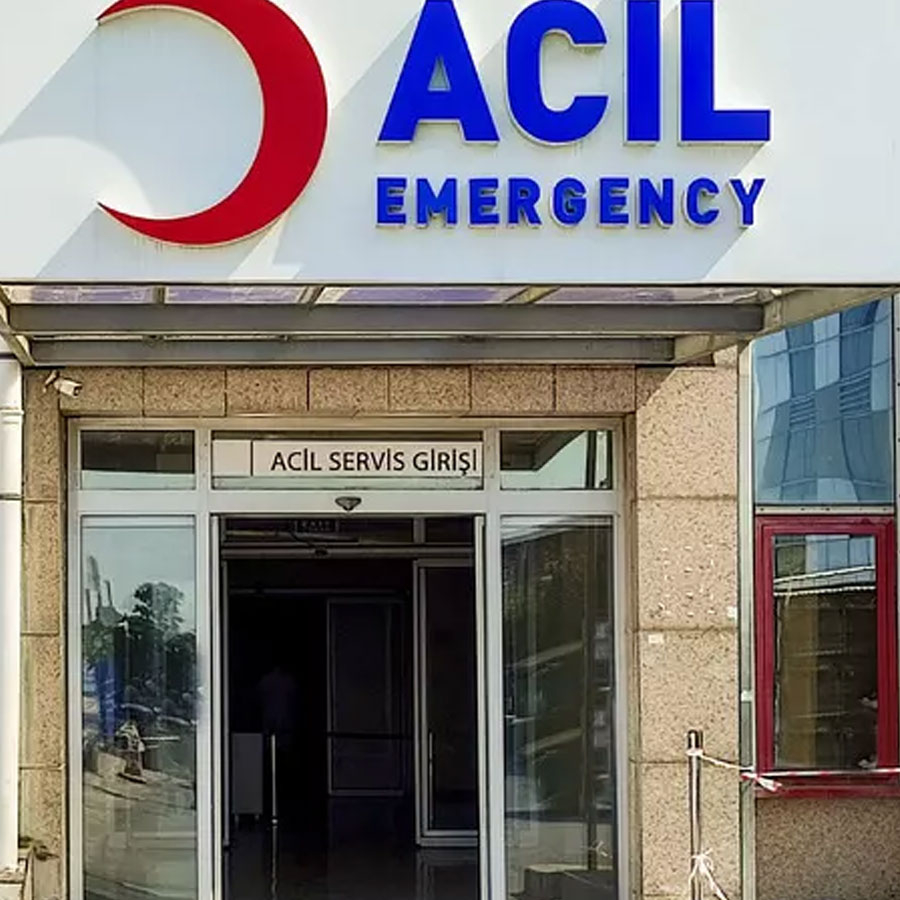 İstanbul'da kuduz endişesi rakamları! Yaklaşık 124 bin kişi hastaneye koştu