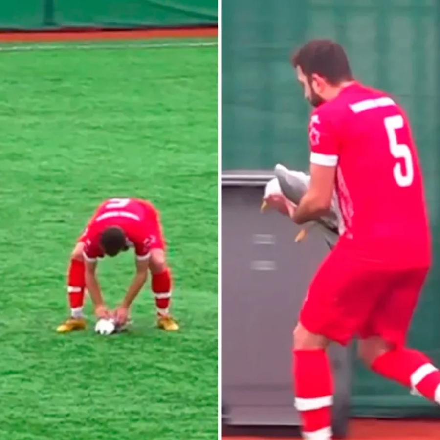 İstanbul'daki maçta görülmemiş olay! Top gelip sahaya düşen martıya futbolcu kalp masajı yaptı