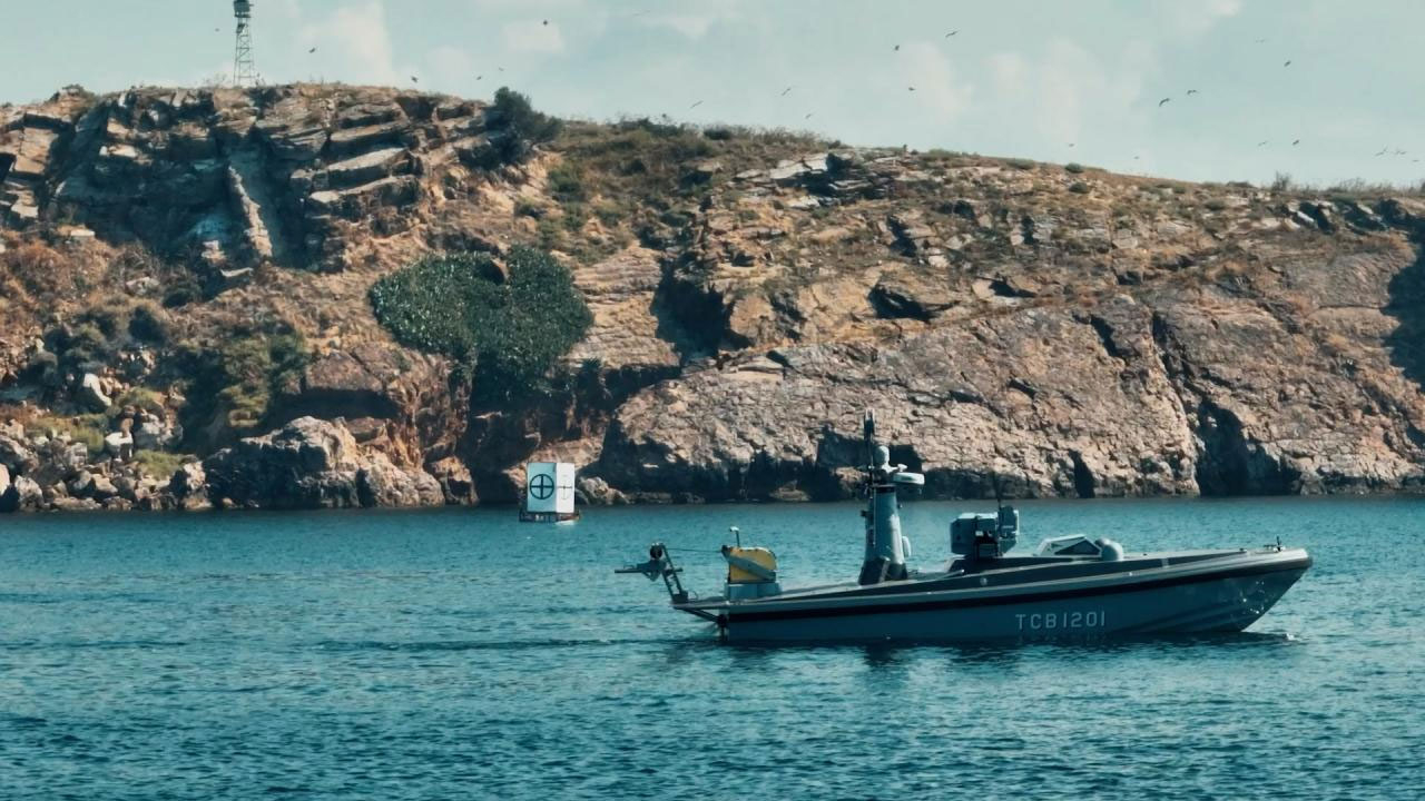 SANCAR SİDA nedir, özellikleri nelerdir?