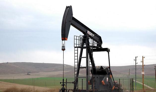 TPAO petrol işletmeye devam edecek!
