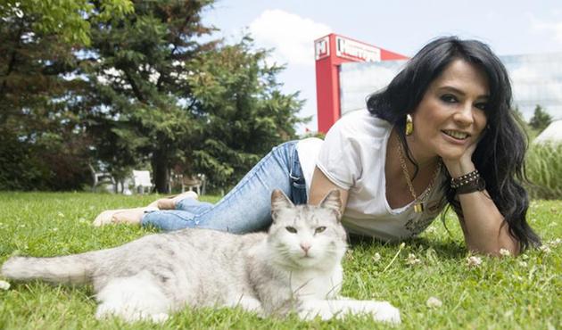 Reyhan Karaca sokak kedisine yapılanları affetmedi!