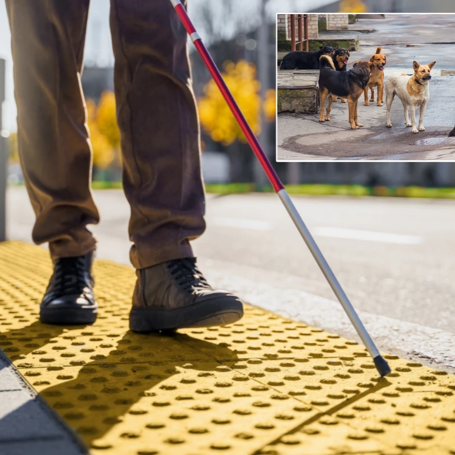 Sancaktepe Belediyesi'nde skandal iddia: Görme engelli vatandaşın köpek talebine şok cevap! "Yardım alarak geç"