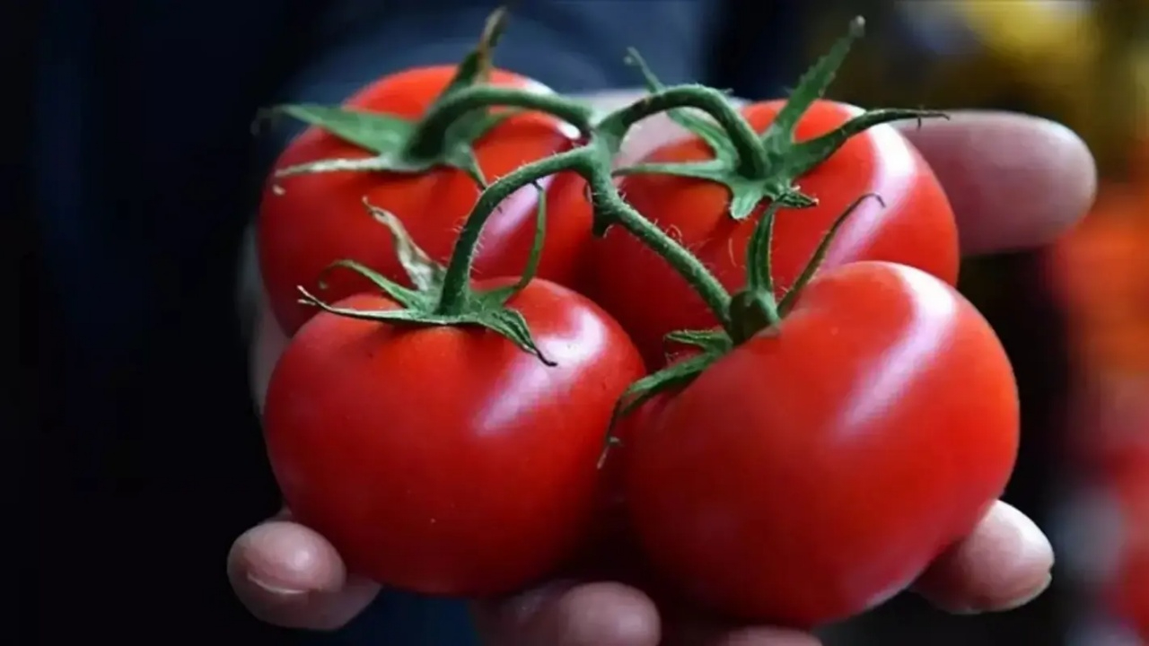 Kilosunu 40 TL'den alıp, 199 TL'ye sattılar! Ticaret Bakanlığı'ndan zincir markete rekor ceza