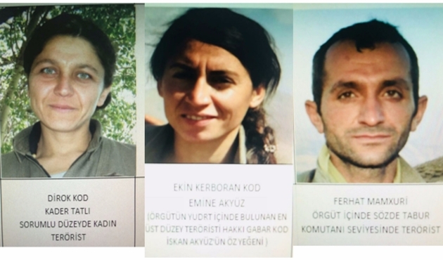 Şırnak'ta 3 PKK'lı terörist öldürüldü...