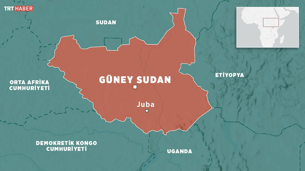 Güney Sudan'da yolcu uçağının düşmesi sonucu 14 kişi hayatını kaybetti
