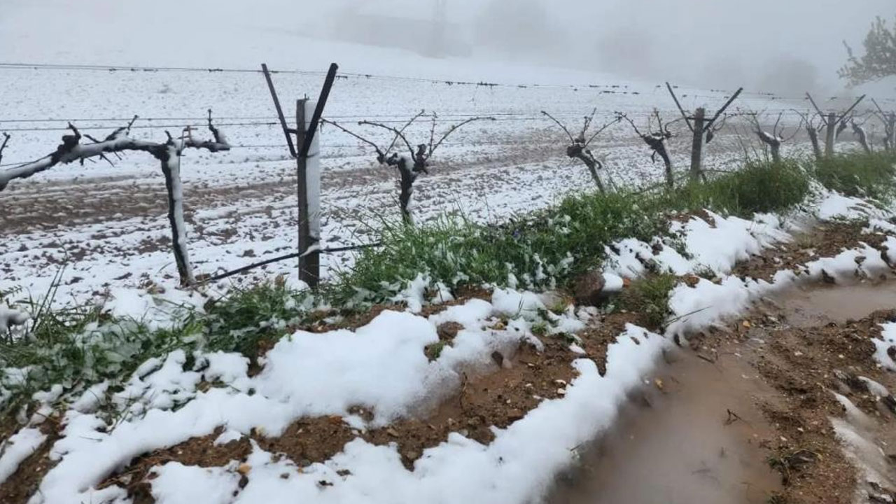 Yüksek kesimlerde ani hava değişimi üreticiyi zorladı