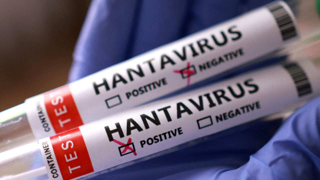 Türkiye'de hantavirüs vakası var mı? Sağlık Bakanlığı'ndan açıklama geldi