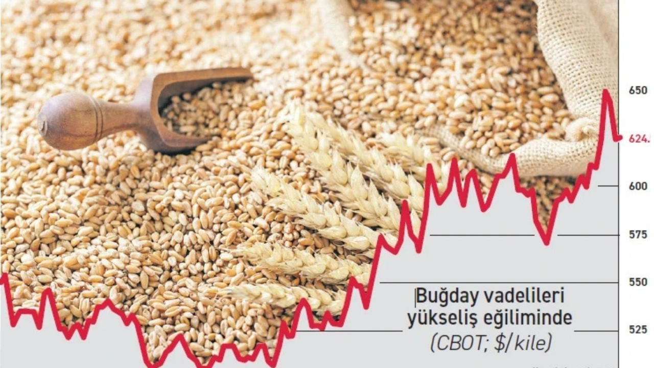 Fiyatlardaki artışı bitkisel yağ ve tahıllar sürükledi
