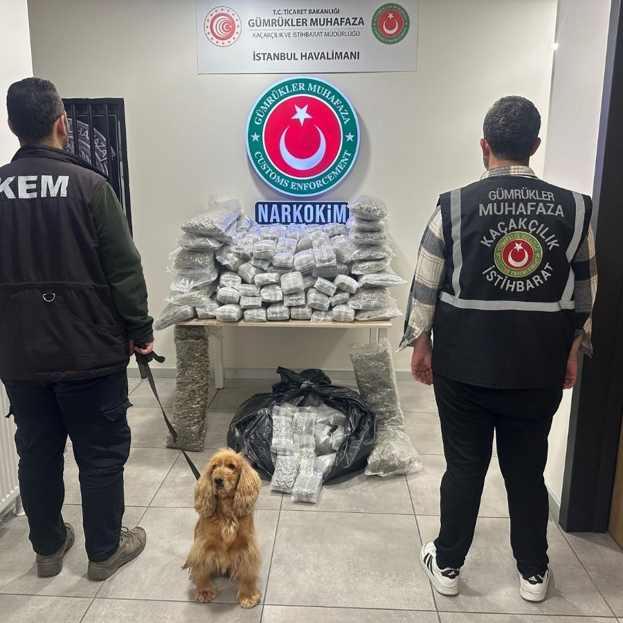 Ticaret Bakanlığı duyurdu: Sınır kapıları ve İstanbul Havalimanı'nda 659 kilo uyuşturucu ele geçirildi